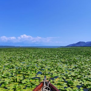 Le lac Skadar, dernière étape de cet été au Monténégro 🇲🇪